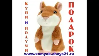 Говорящий Хомяк и Собака