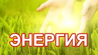 ЭНЕРГИЯ ЖИВА ИЗ ФРУКТОВ