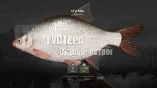 Русская Рыбалка 4 ► Russian Fishing 4 ► Старый Острог - Густера