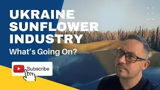 The Ukraine Sunflower Industry - Whats Going On? #commodity #ukraine #sunflower