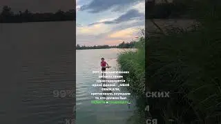 8 августа 2024 г.
