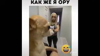 жена и собака