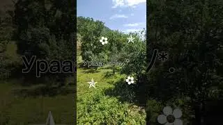 все кричим в окно пупсы◕⁠)⁠ﾉ⁠*⁠.⁠✧