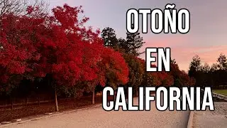 LLEGO EL OTOÑO AL NORTE DE CALIFORNIA #california #otoño
