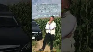 24 августа 2024 г.