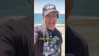 My Final Album Announcement: GOODBYE, STICKY RICE