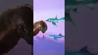 Bloop And Falak Vs Hungry Shark Evolution/World 