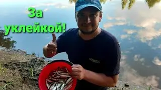 Рыбалка с женой на уклейку летом! Жена ловит рыбу