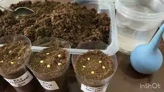 First crops. Just a little bit.