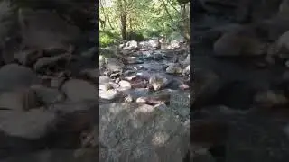 yuntdagı koca dere