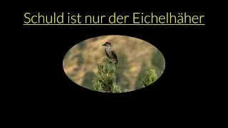 PCR FAKE NEWS 19 + Schuld ist nur die Zirbelkiefer (Dez 2022)