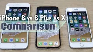 Apple iPhone  8 vs 8 Plus vs iPhone X