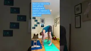 Standing hamstring forward fold #yoga #stretching #mobility #injuryprevention #hamstringstretches