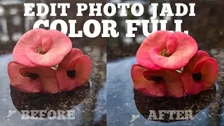 BIKIN FOTO KALIAN JADI COLOR FULL SIMPEL DI HP  | LIGHTROOM EDIT GAMBAR | LIGHTROOM COLOR FULL