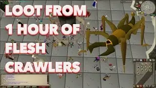 OSRS - Loot from 1 hour of Flesh Crawlers