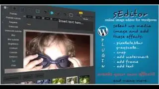 Preview sEditor - online image editor WP plugin