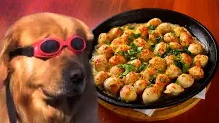 Обзор на жареные пельмени | Пища богов | Kopik Копик