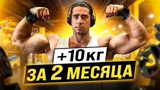 AMERICAN BODYBUILDING это другое!