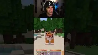 Aladdin In Minecraft