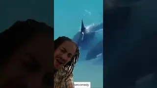 Top Ten Memes 2023 🤣🤣 #TonyBaker #Seal #Orca
