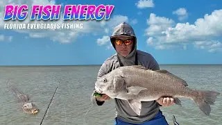 Fishing SECRET Inshore Spots with BIG Fish & HUGE Crocodiles
