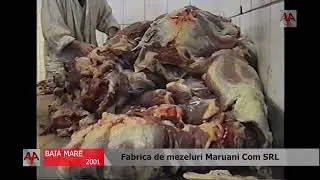 BAIA MARE (2001) - Fabrica de mezeluri Maruani Com SRL