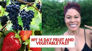 14 Day Fruit And Vegetable Fast On My Spiritual Journey