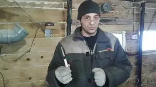 Вакцинация КРС препоратом "СЕДИМИН".