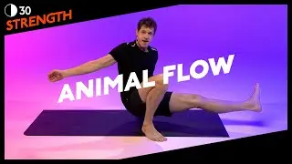 30 MIN | FUN ANIMAL FULL BODY FLOW