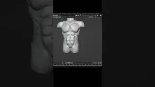 Male Torse animated in blender #blender3dmodel #3danimation #youtubeshorts