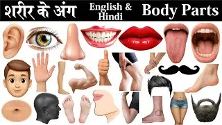 Human Body Parts Name Hindi & English with Pictures and pdf | शरीर के अंग | Name of Body Parts |