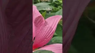 #единство_Христа