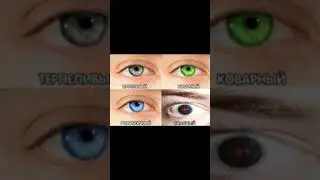 Мемы и приколы про блиц 