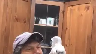 дуй давай
