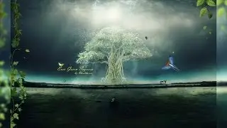 Ever Green Sequoia - Photo Manipulation