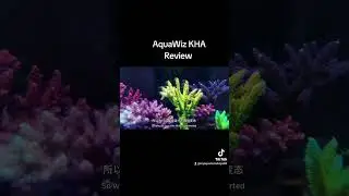 Aquawiz KHA review