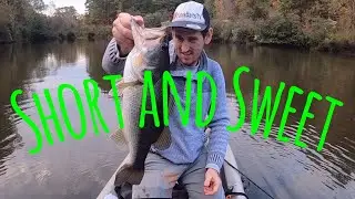 Tank @ a friends Pond. (short video)