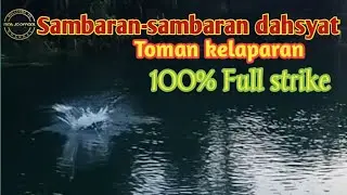 Full strike casting toman 2020 100% sambaran dahsyat