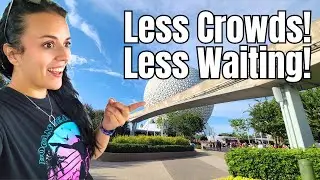 5 Tips and Tricks on How to Avoid Disney Crowds!
