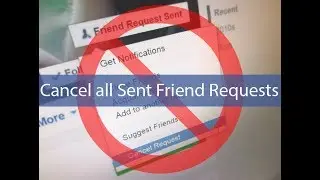 How do I remove or cancel a friend request I sent to someone?