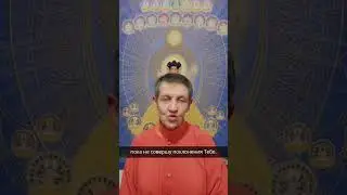 Преданность Шиве | Йоги за мир. Больше видео на канале ⬇️