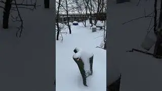 Вот так зима…