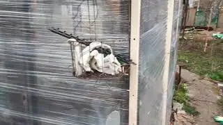 парник из стретч плёнки