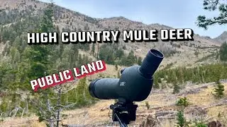 I FOUND 2 SHOOTER BUCKS BUT.... (High County Mule Deer Hunt)