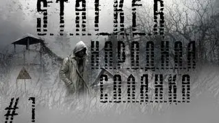 S.T.A.L.K.E.R - Народная Солянка 2012+DMX 1.3.5 - [часть 1]