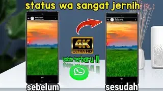 CARA AGAR STATUS WHATSAPP JADI JERNIH, TIDAK PECAH DAN BURAM TERBARU 2024