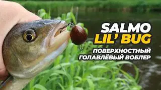 Salmo Lil’ Bug. Обзор интересного голавлёвого воблера