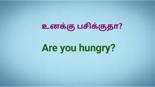 #daily useing sentence