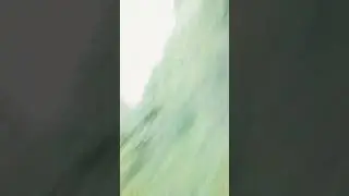 освежи
