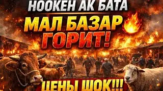 21.04.26 НООКЕН АК БАТА РЕАЛДУУУ БААЛАР 🤯🤯🤯